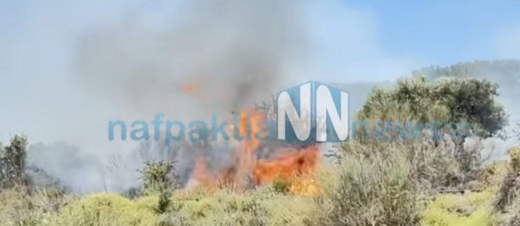 φωτιά-καίει-δασική-έκταση-στην-ναύπακ-1336789